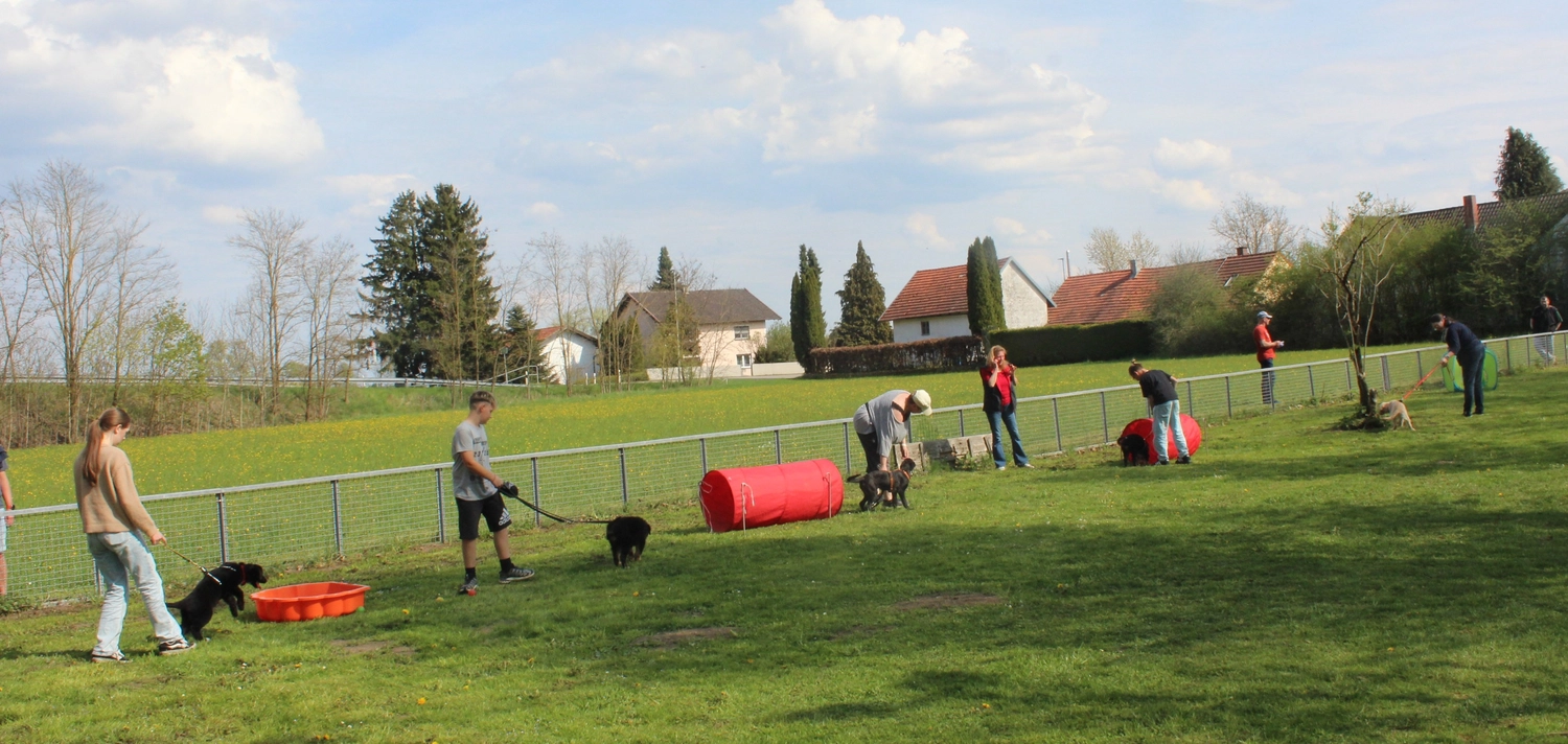 HSV Mühldorf - Hundesportverein - Hund