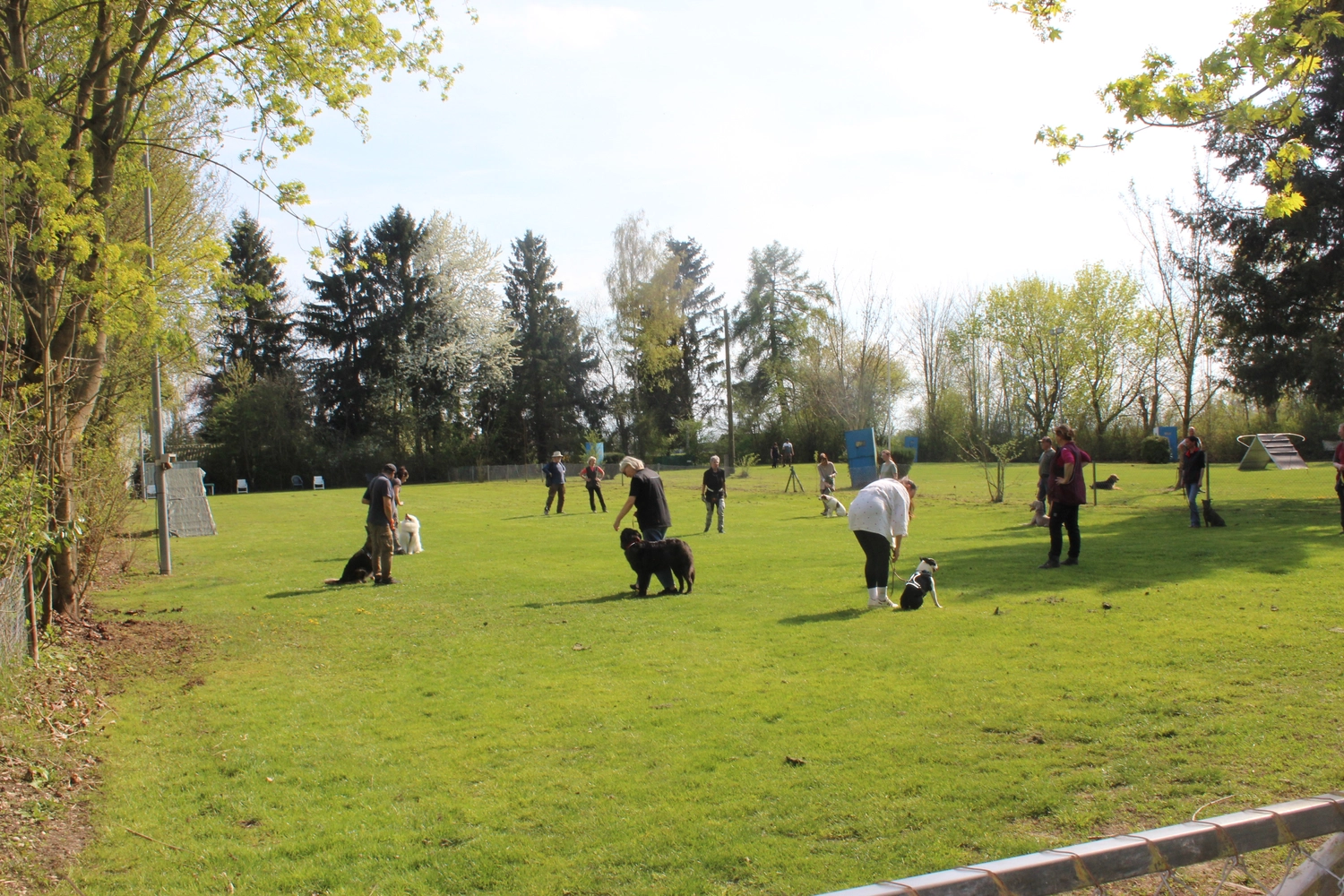 HSV Mühldorf – Hundesportverein – Menschen im Garten mit Hunden