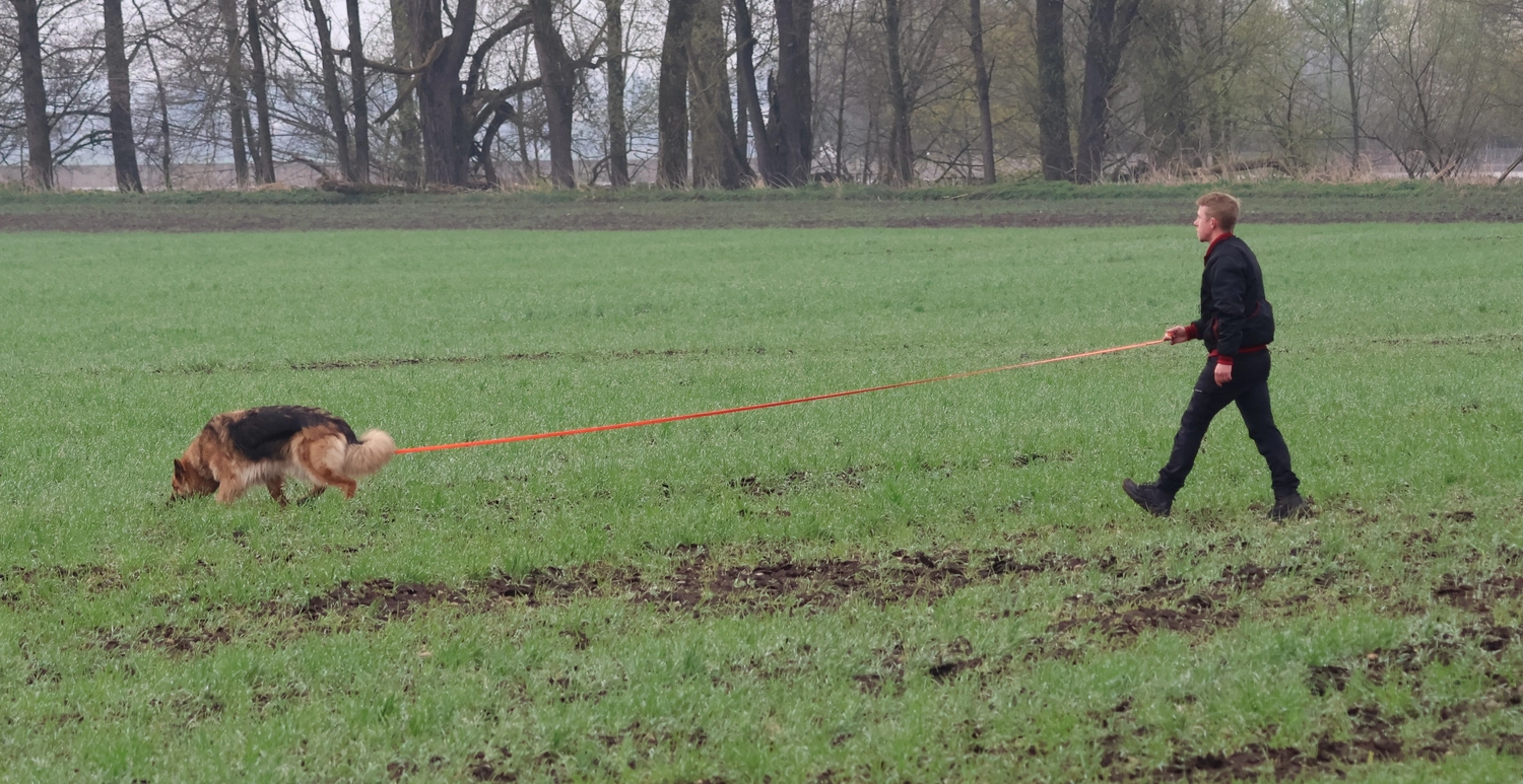HSV Mühldorf – Hundesportverein – Hundespiel im Park