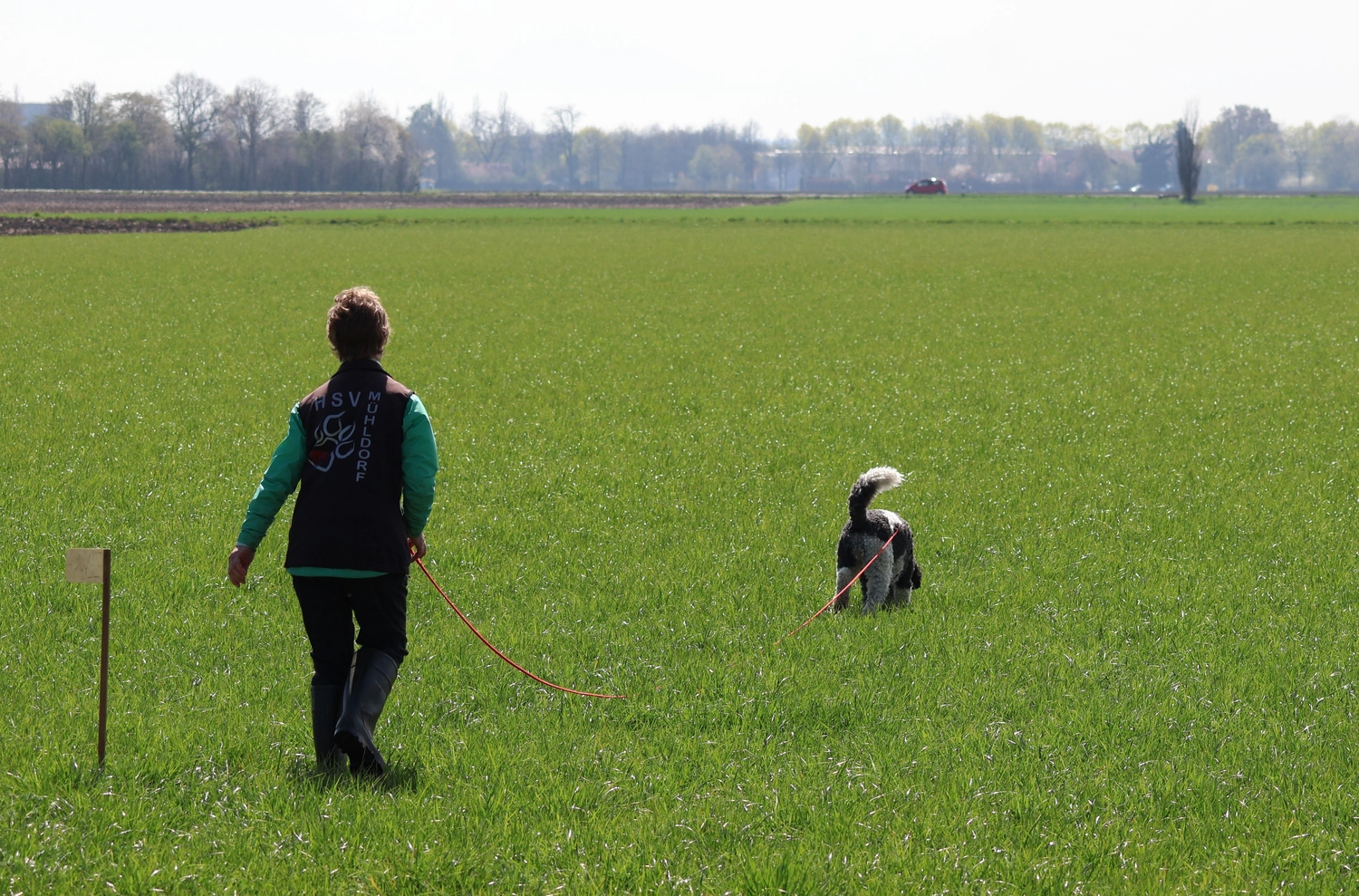 HSV Mühldorf – Hundesportverein – Hundespiel im Park