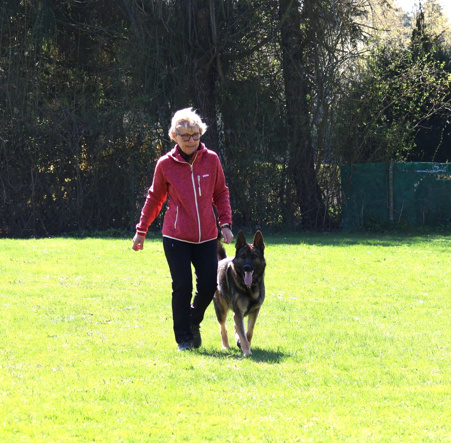 HSV Mühldorf - Hundesportverein - Hund im Park