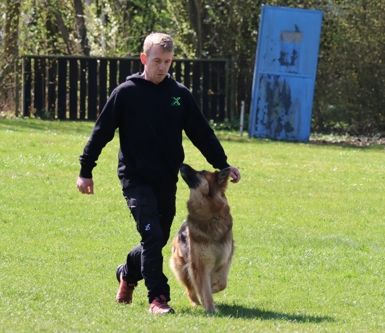 HSV Mühldorf - Hundesportverein - Hund im Park