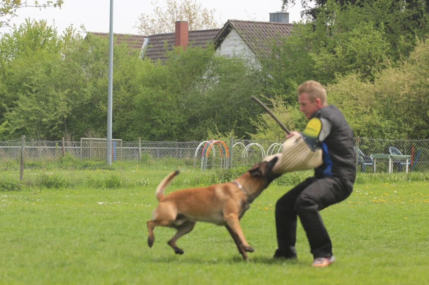 HSV Mühldorf – Hundesportverein – Menschen im Garten mit Hunden
