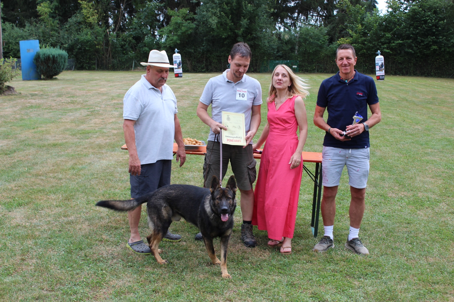 HSV Mühldorf - Hundesportverein - Hund im Park
